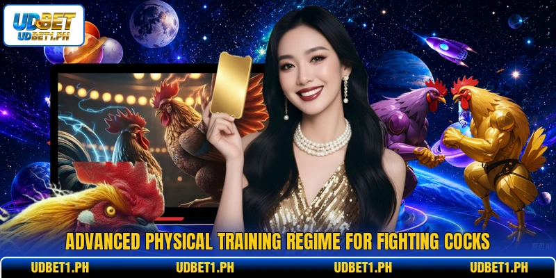 Advanced physical training regime for fighting cocks