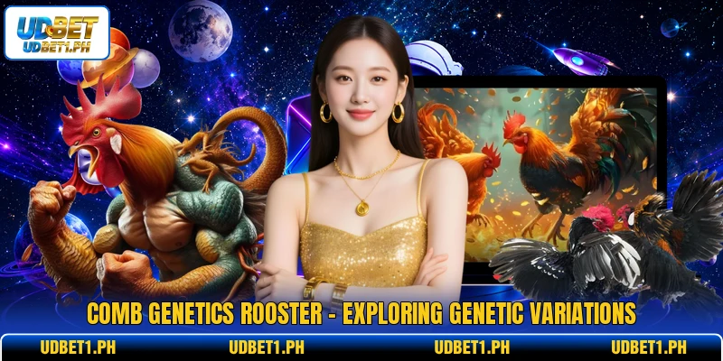 Comb Genetics Rooster - Exploring Genetic Variations