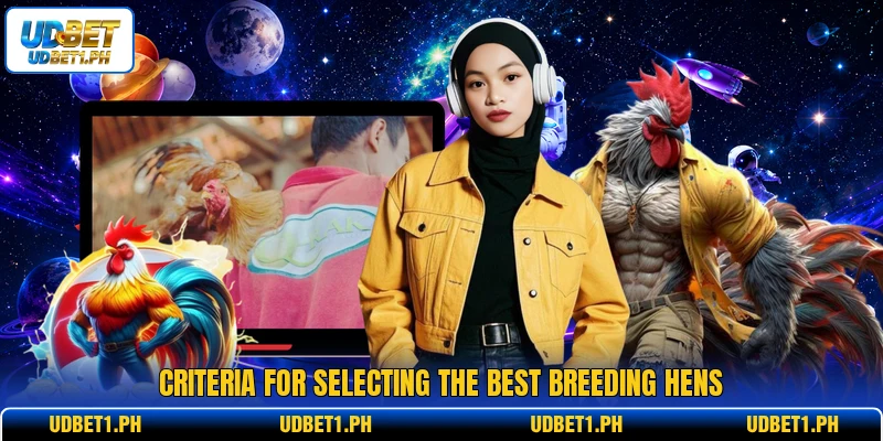 Criteria for selecting the best breeding hens