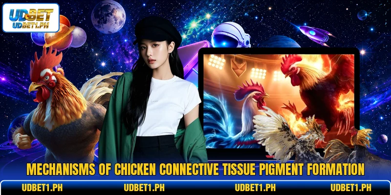 Mechanisms of chicken connective tissue pigment formation