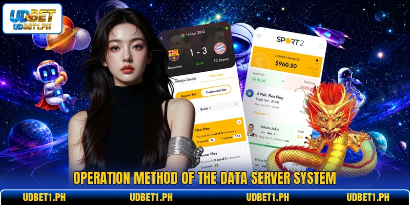 Operation method of the data server system