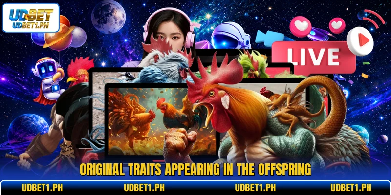 Original traits appearing in the offspring Original traits appearing in the offspring